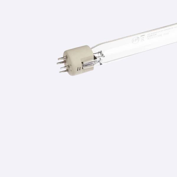 XLR20